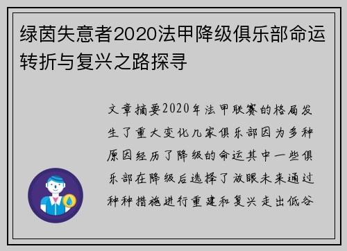 绿茵失意者2020法甲降级俱乐部命运转折与复兴之路探寻